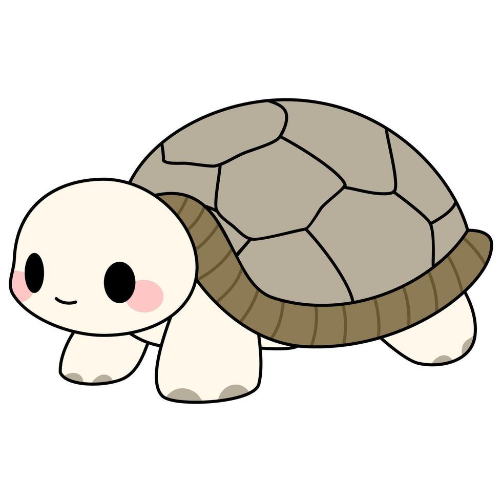 schildpad cartoon vector