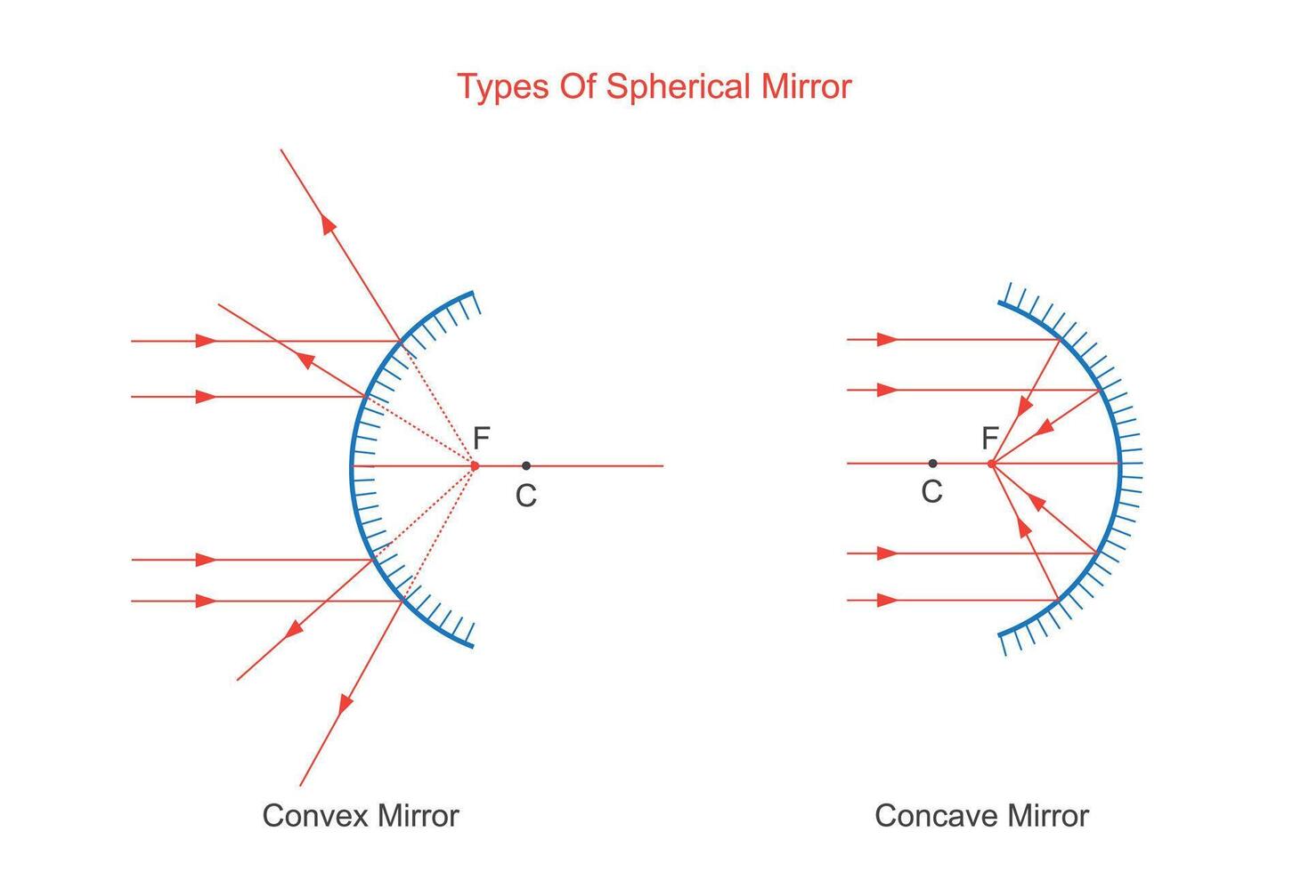 bolvormig spiegel. gebogen reflecterende oppervlak, convex spiegel en concaaf spiegel. fysica illustratie. vector