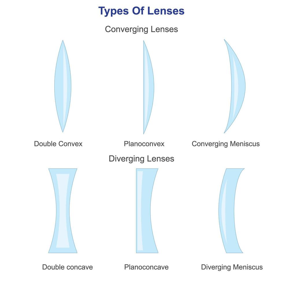 types van lenzen gebaseerd Aan de kromming van twee optisch oppervlakken inclusief convergeren en divergerend lenzen.fysica illustratie. vector