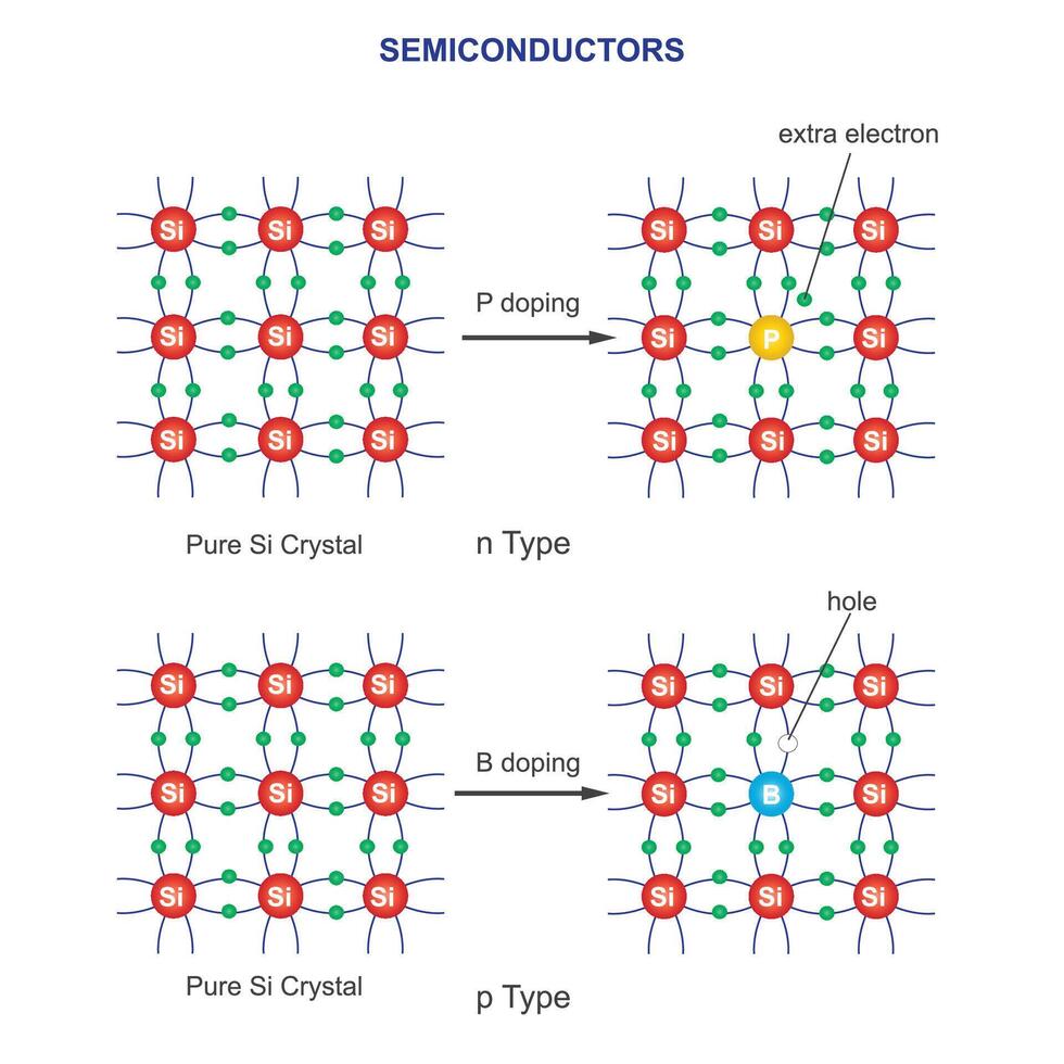 halfgeleiders. p-type heeft positief in rekening brengen dragers gaten, n-type heeft negatief in rekening brengen dragers elektronen. onzuiverheid halfgeleiders. vector