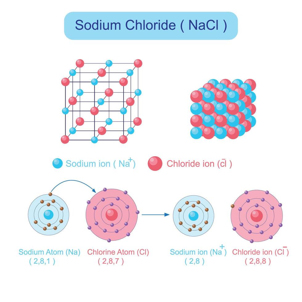 natrium chloride. nacl structuur. ionisch kristal. chemie solide staat illustratie.educatief concept. vector