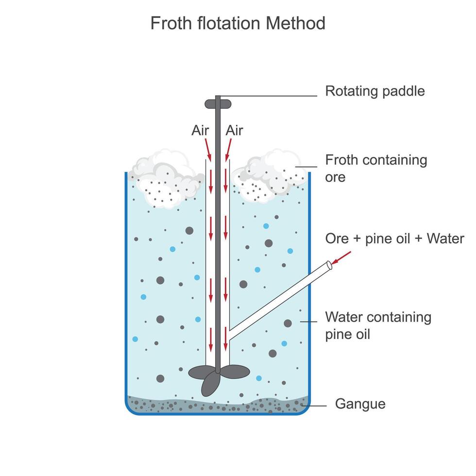 schuim flotatie, een mineraal scheiding techniek, vertrouwt Aan de selectief hechting van lucht bubbels naar hydrofoob deeltjes, hijs- hen naar de oppervlakte voor verzameling. metallurgie concept. vector