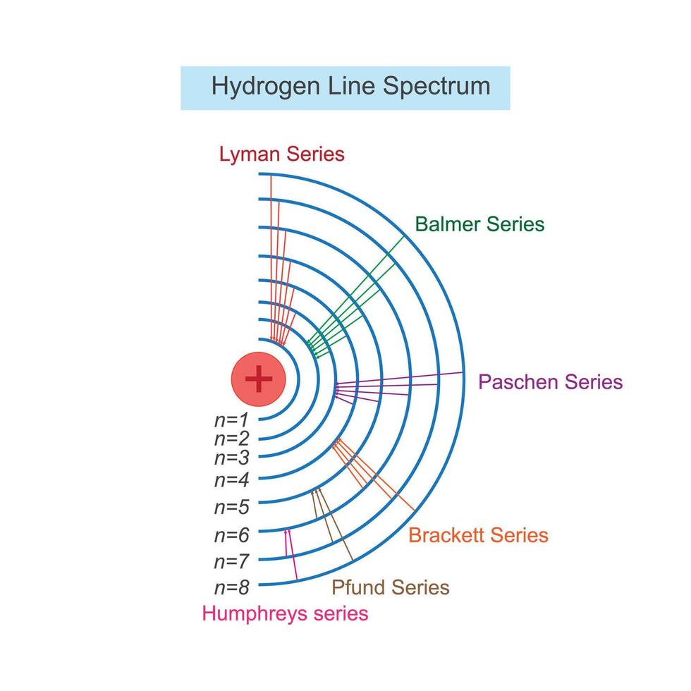 atomair structuur illustratie. lijn spectrum van waterstof atoom.bohr atomair model- diagram. vector