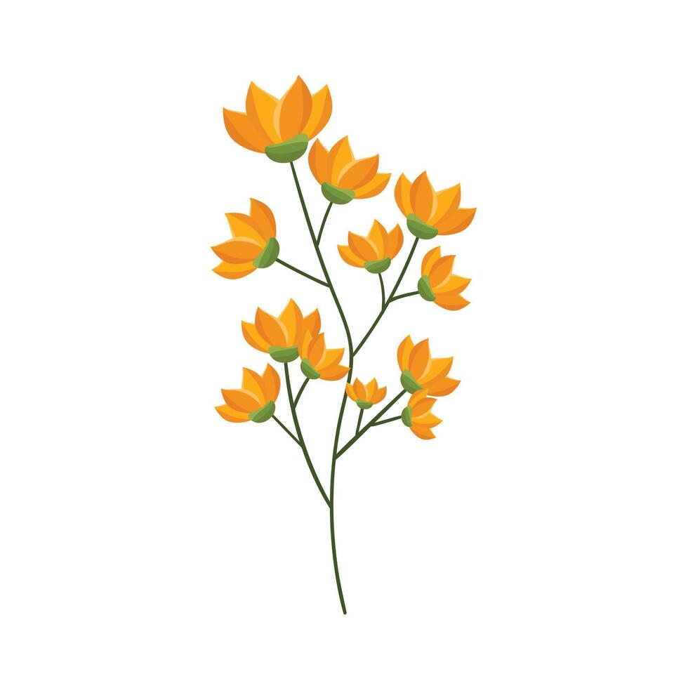 vector hand- getrokken bloem illustratie Aan wit