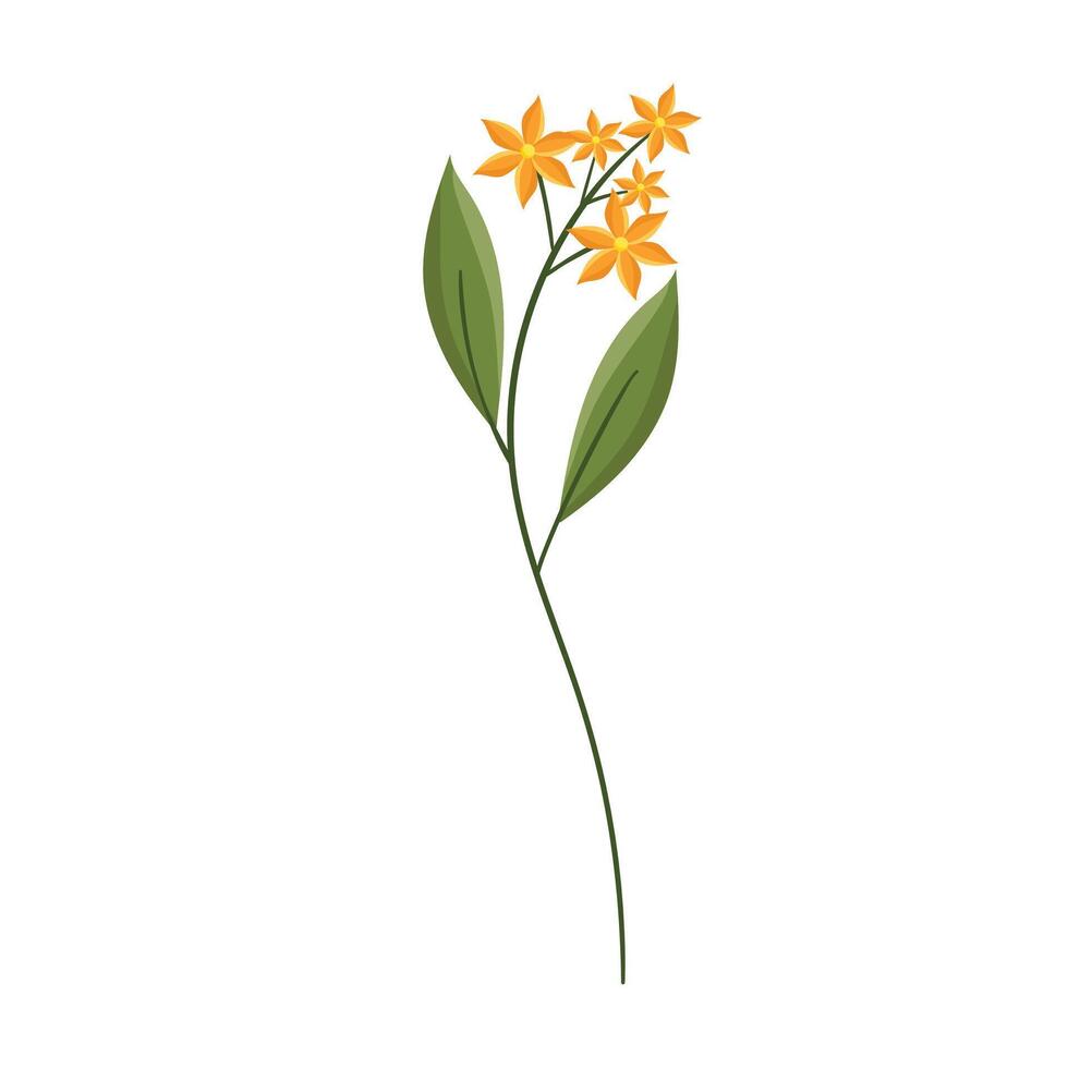 vector hand- getrokken bloem illustratie Aan wit