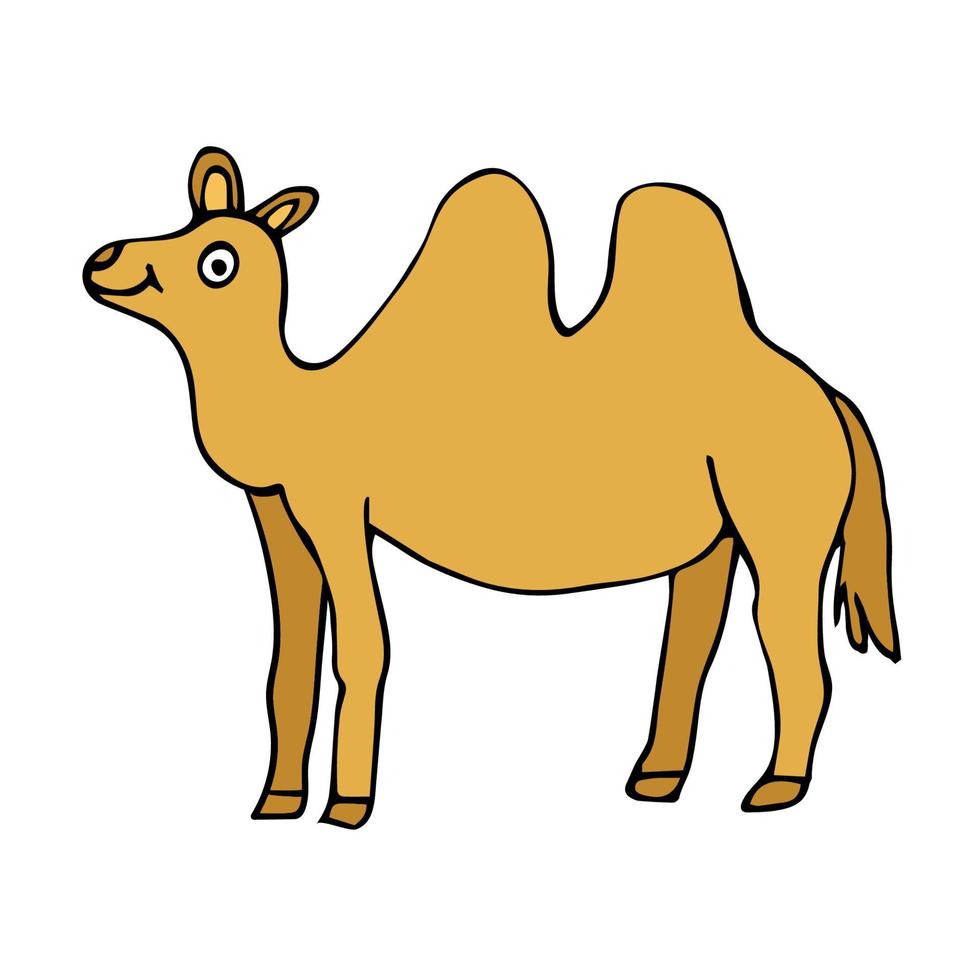 cartoon doodle gelukkig kameel geïsoleerd op een witte achtergrond. vector