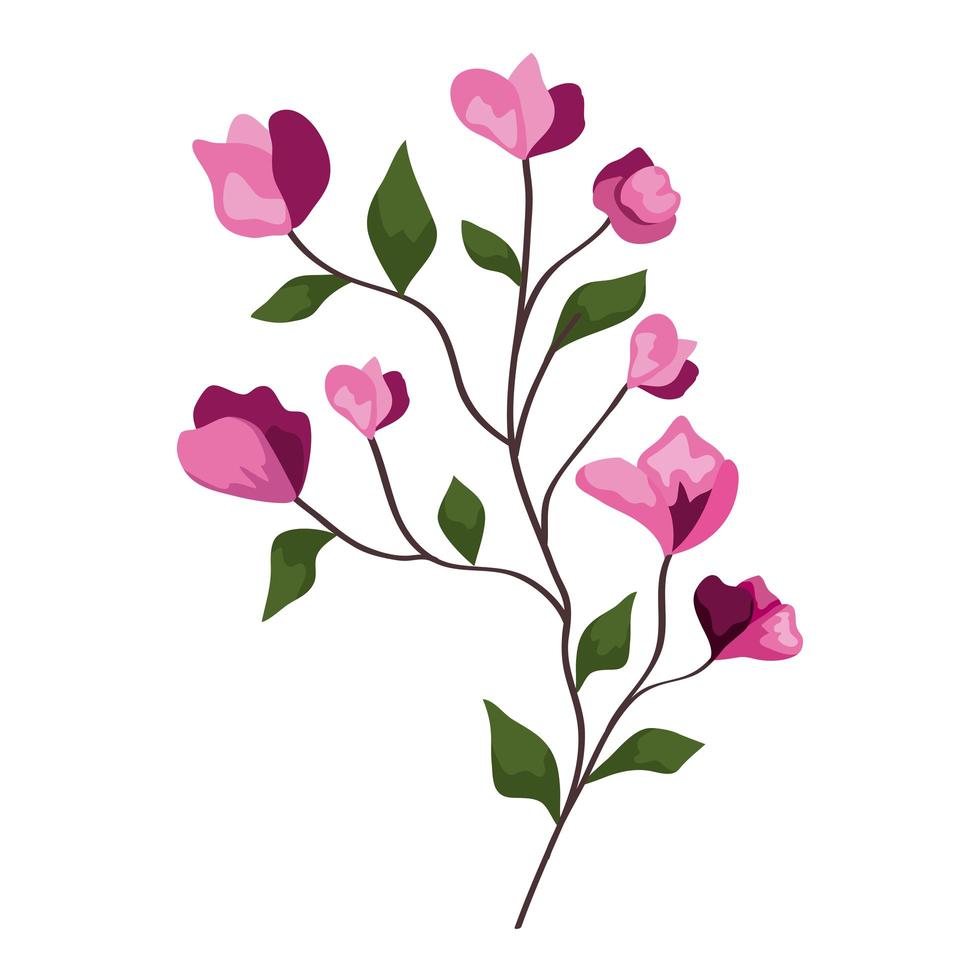 roze bloemen tak met bladeren vector