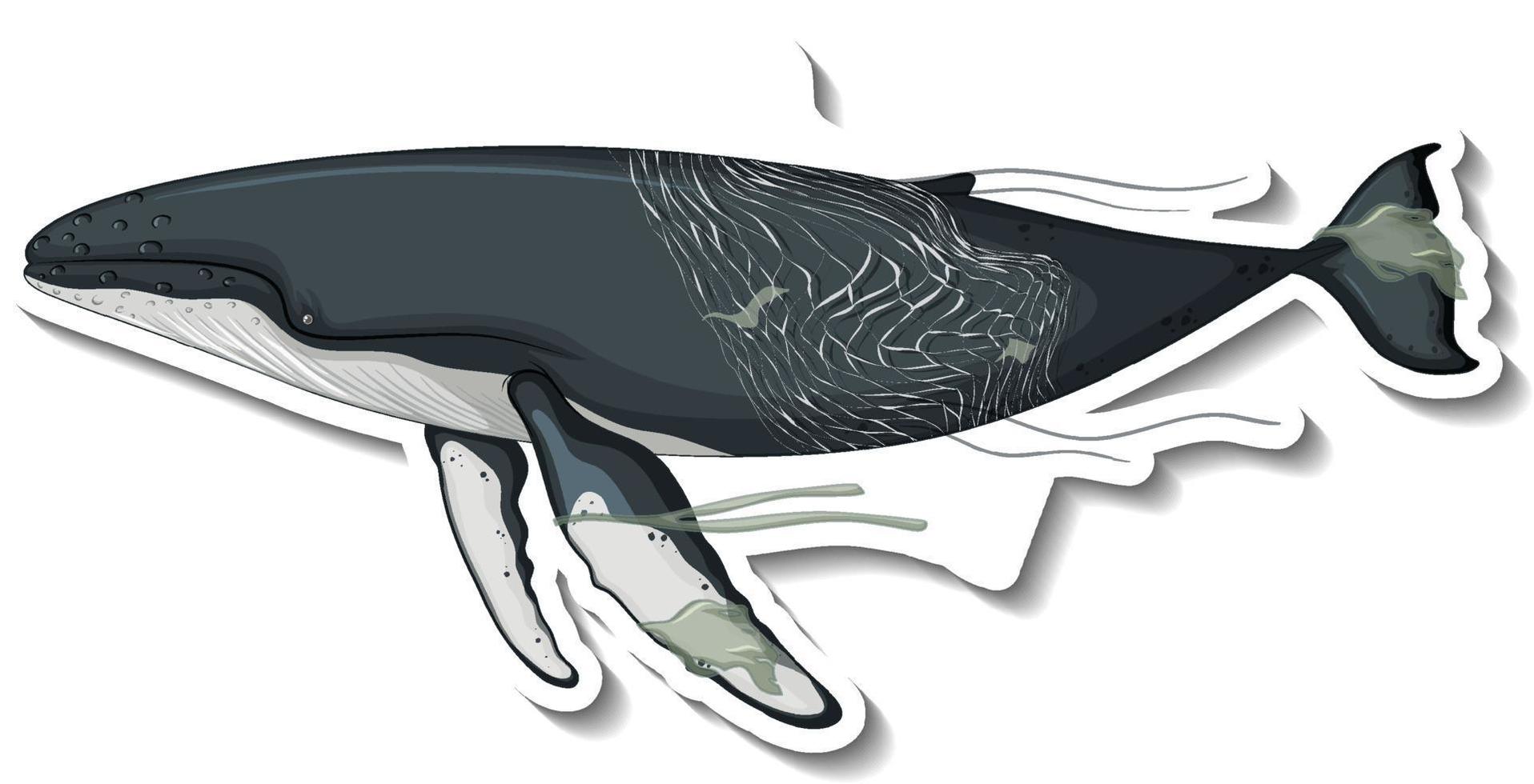 walvis vast in plastic net op witte achtergrond vector