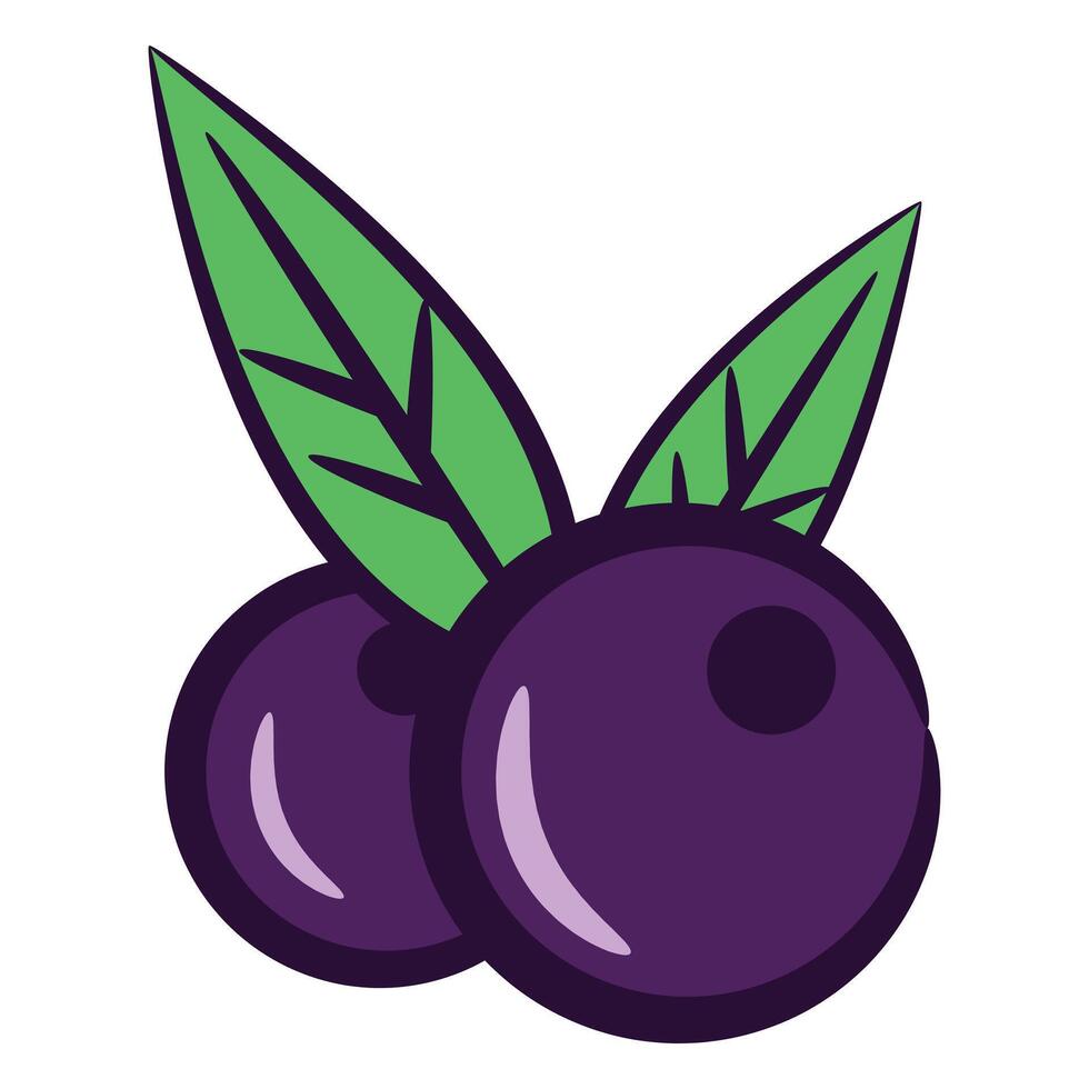 acai fruit, vector clip art