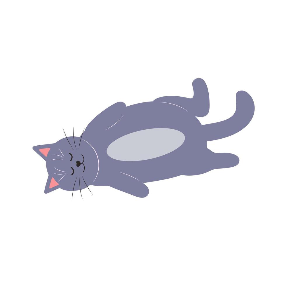 schattig grappig kat. dik huisdier dier. tekenfilm karakter. vlak vector illustratie.