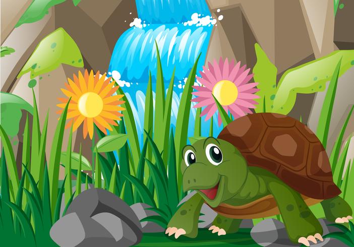 Schildpad bij de waterval vector