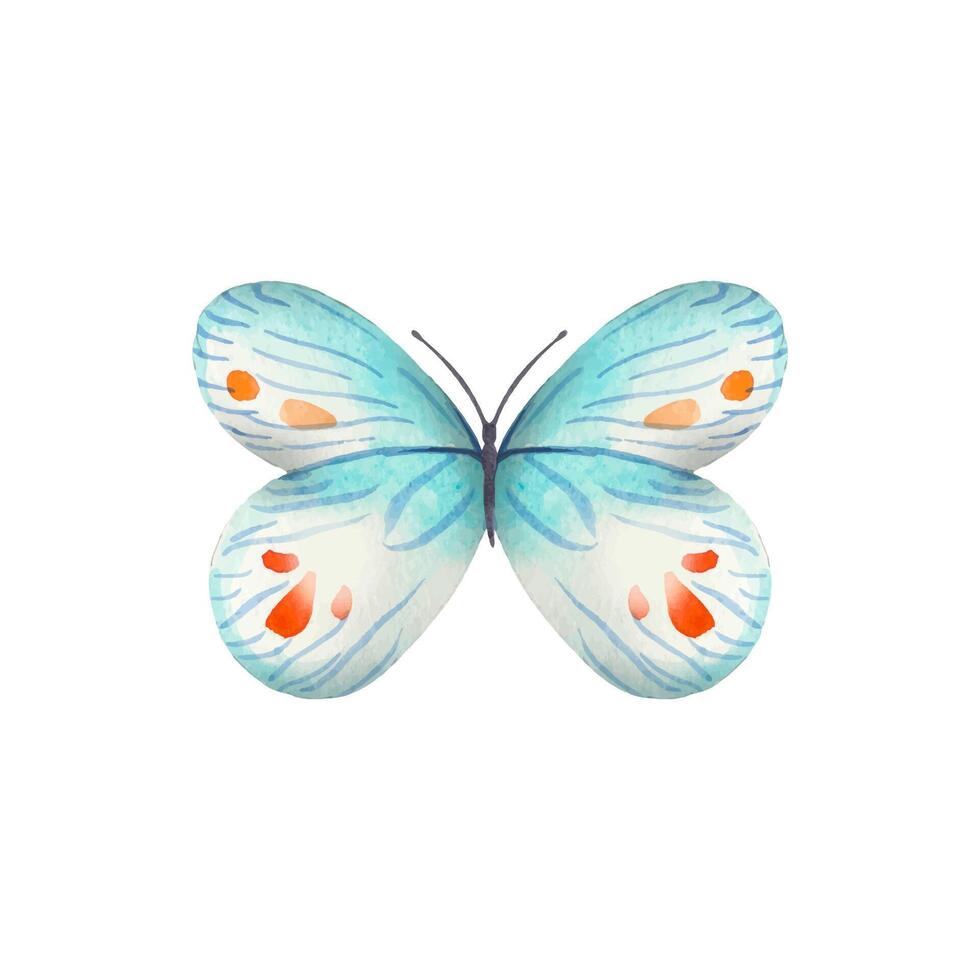hand- getrokken abstract vlinder in blauw rood tonen Aan een wit achtergrond vector