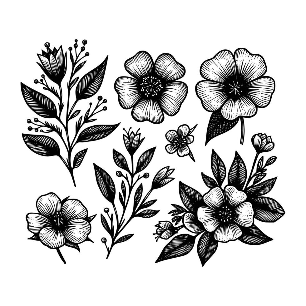 reeks van bloemen hand- getrokken stijl. bloem roos, pioen, bladeren voor decoratie. zwart en wit vector bloemen illustratie