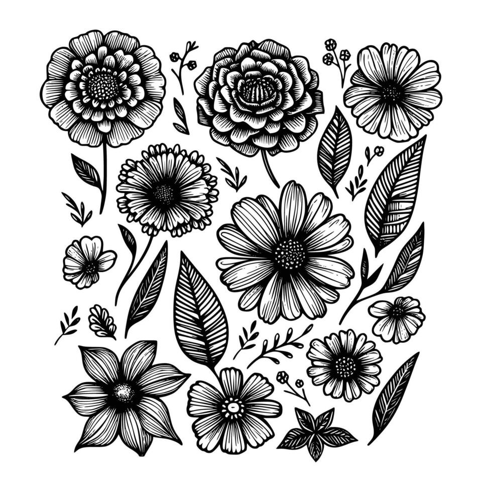 reeks van bloemen hand- getrokken stijl. bloem roos, pioen, bladeren voor decoratie. zwart en wit vector bloemen illustratie