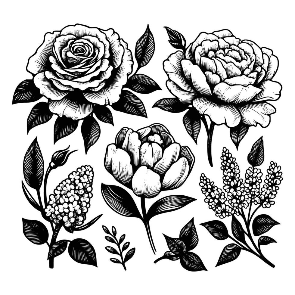 reeks van bloemen hand- getrokken stijl. bloem roos, pioen, bladeren voor decoratie. zwart en wit vector bloemen illustratie