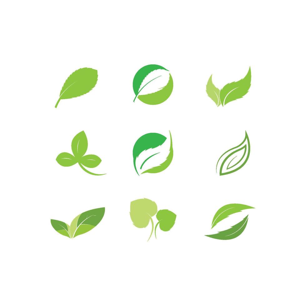 logo's van groen blad ecologie natuurelement vector pictogram