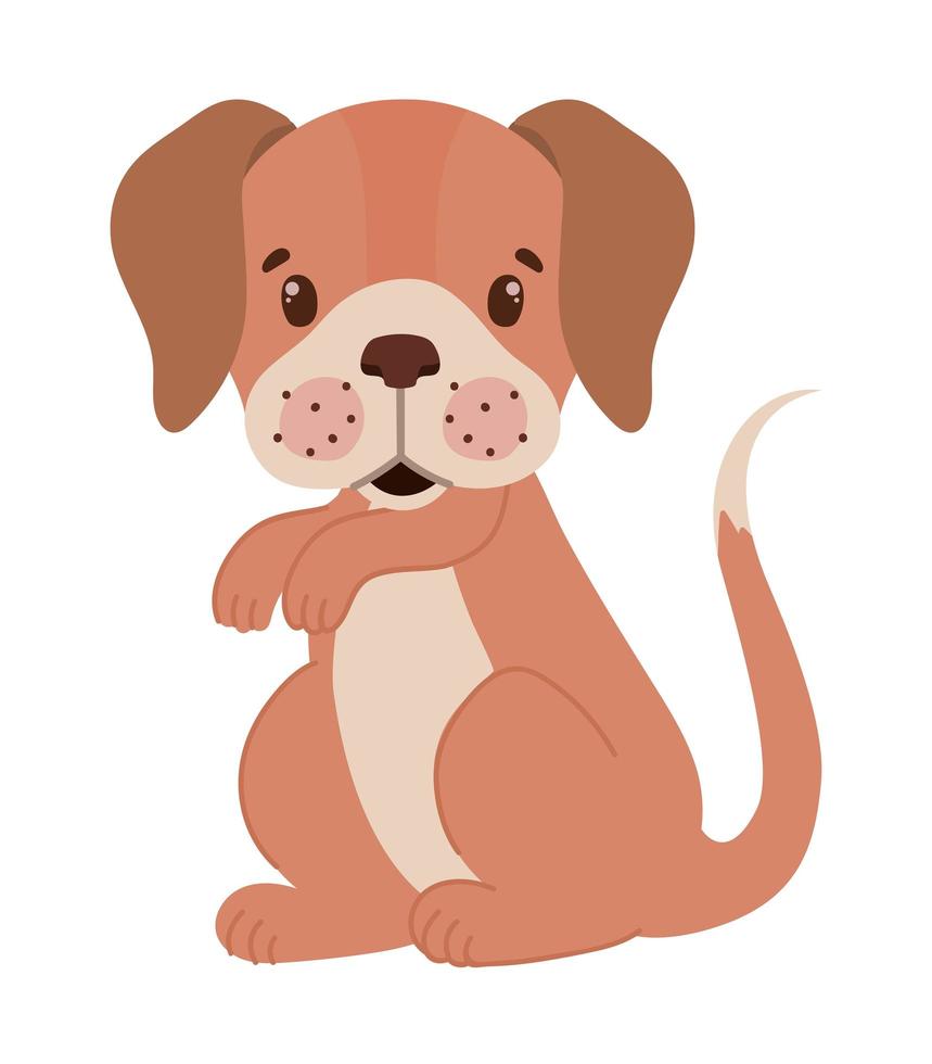 mooie puppy illustratie vector