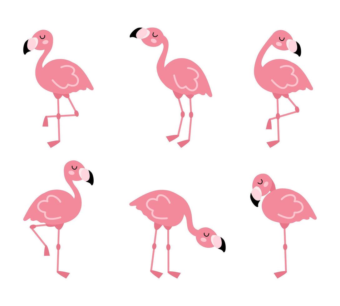 schattig tekenfilm roze flamingo set. exotisch vogelstand in verschillend poseert. vector illustratie