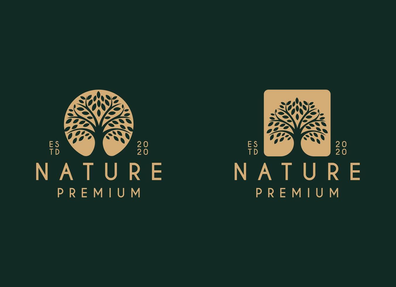 natuur boom logo ontwerp. tuin fabriek natuurlijk symbolen sjabloon. boom van leven Afdeling met bladeren bedrijf teken verzameling vector