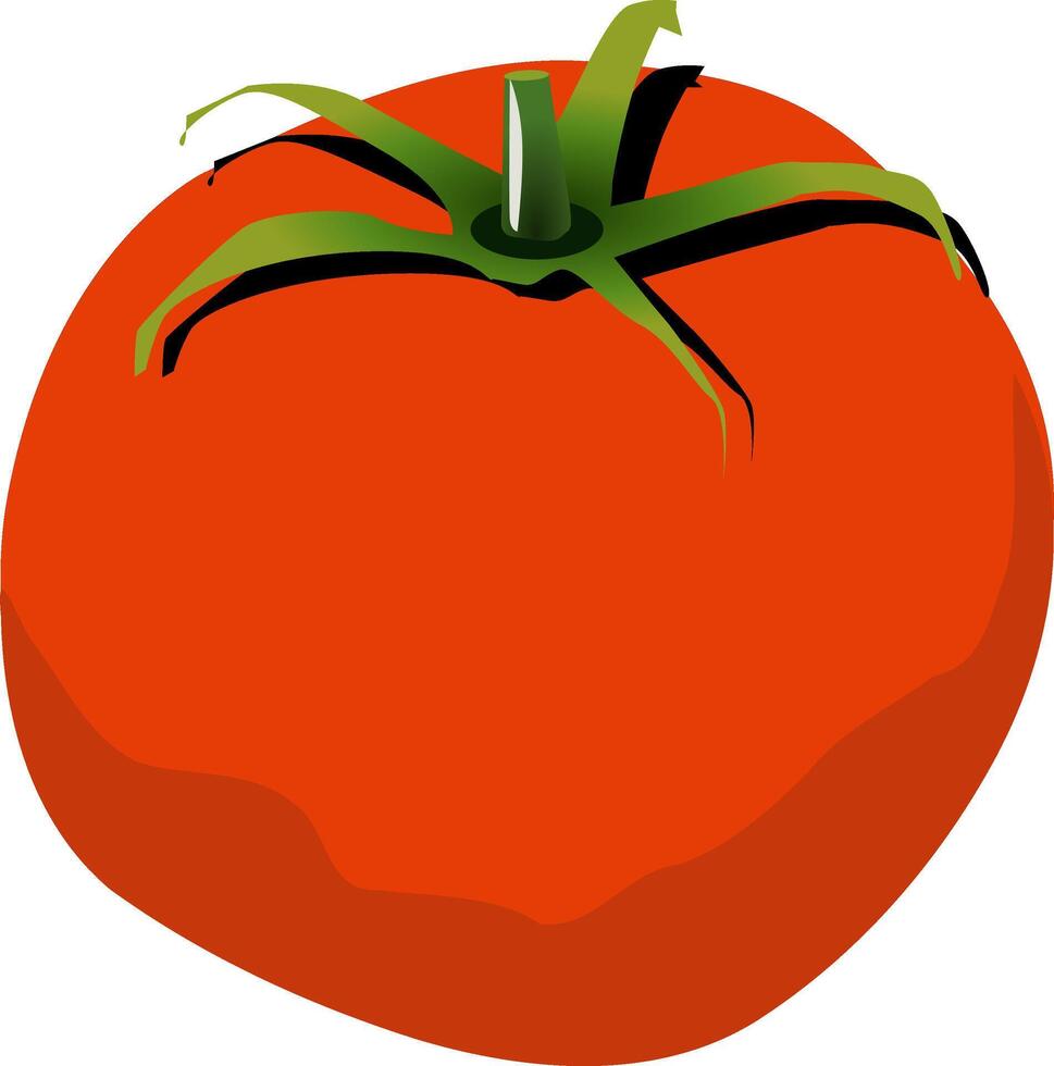 rood tomaat. vector illustratie. geïsoleerd vector.