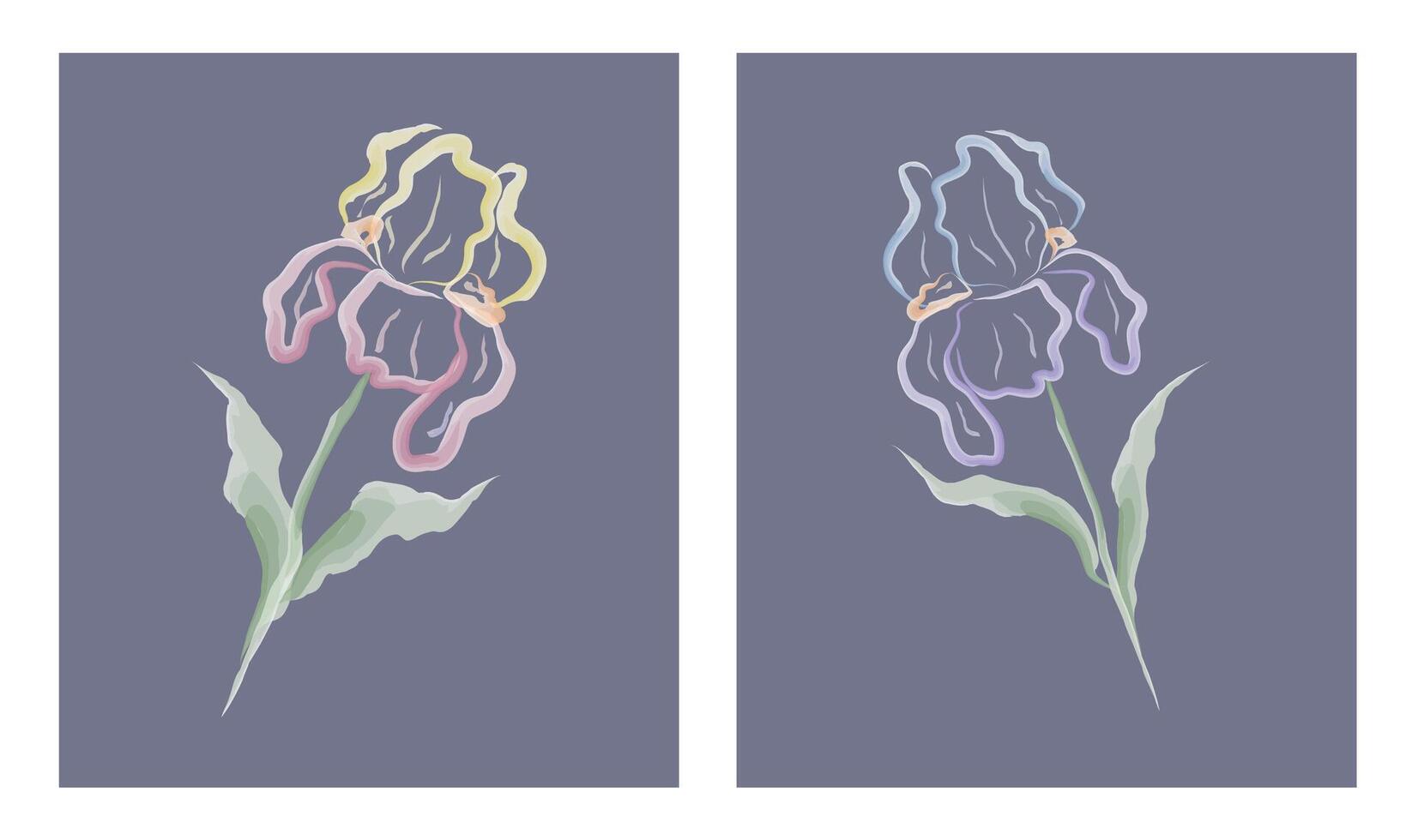bloemen irissen gebruik makend van waterverf contour tekening tekening Aan een duidelijk achtergrond, vakantie groet kaart vector