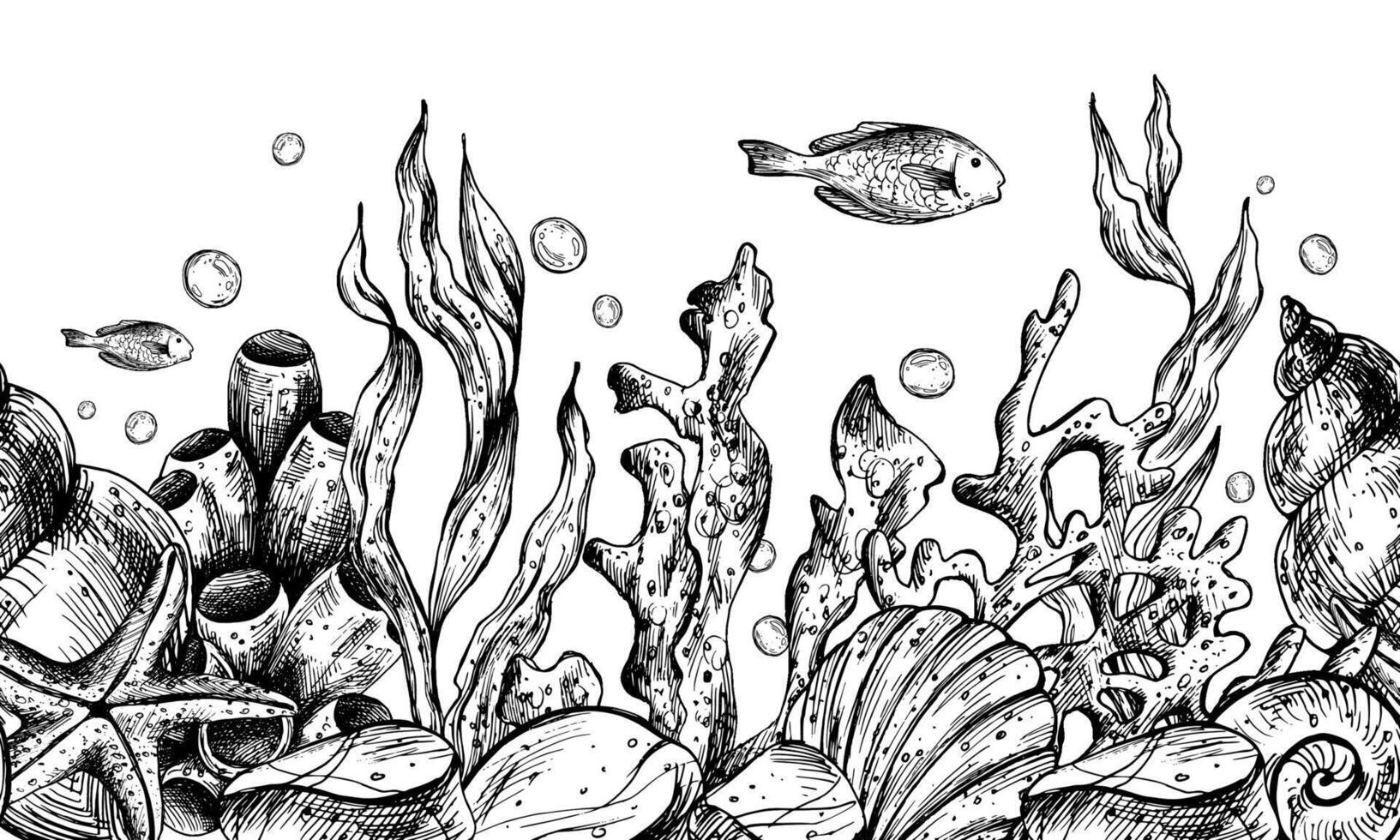 onderwater- wereld clip art met zee dieren walvis, schildpad, Octopus, zeepaardje, zeester, schelpen, koraal en algen. grafisch illustratie hand- getrokken in zwart inkt. naadloos grens eps vector