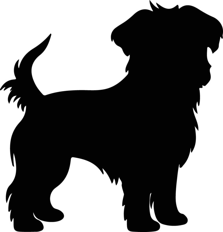 Brussel griffon zwart silhouet vector