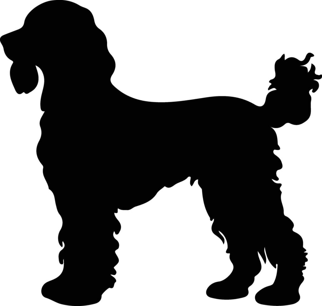 Iers water spaniel zwart silhouet vector