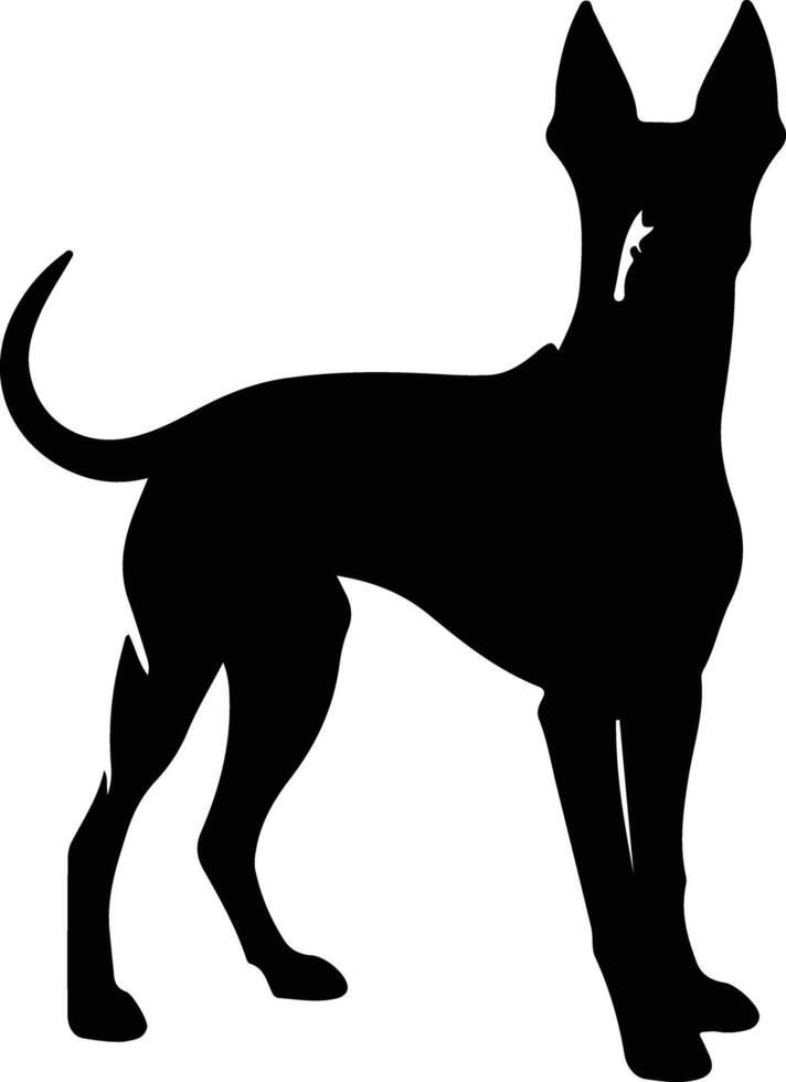 Farao hond zwart silhouet vector