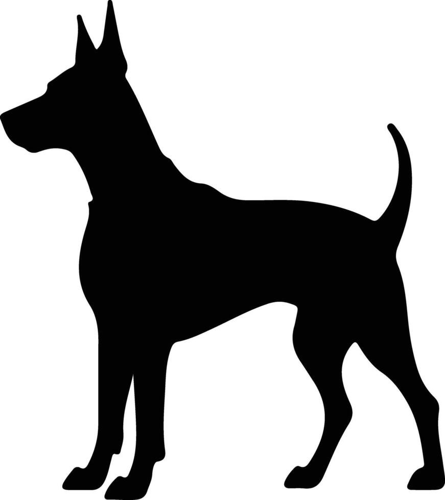 doberman pinscher zwart silhouet vector