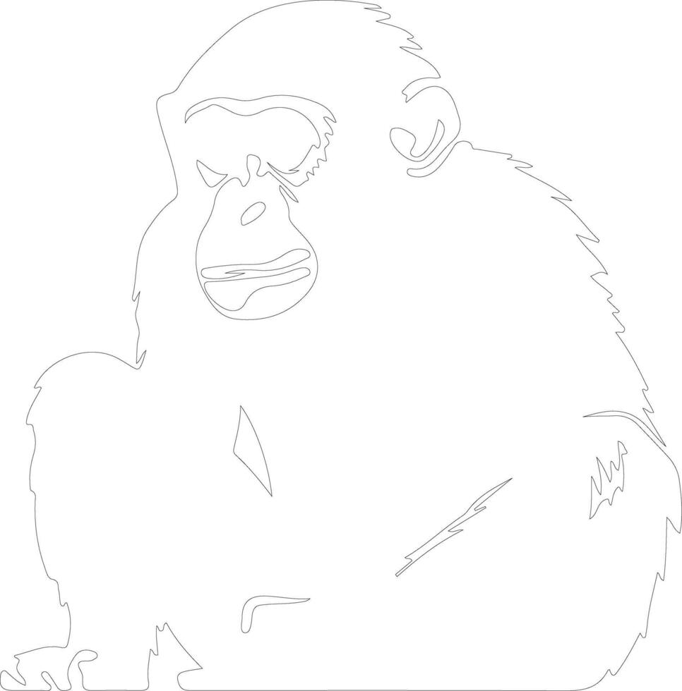 bonobo schets silhouet vector