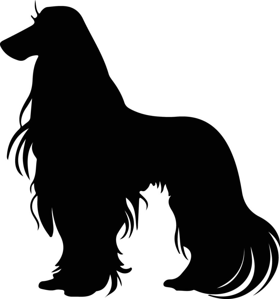 afghaan hond zwart silhouet vector