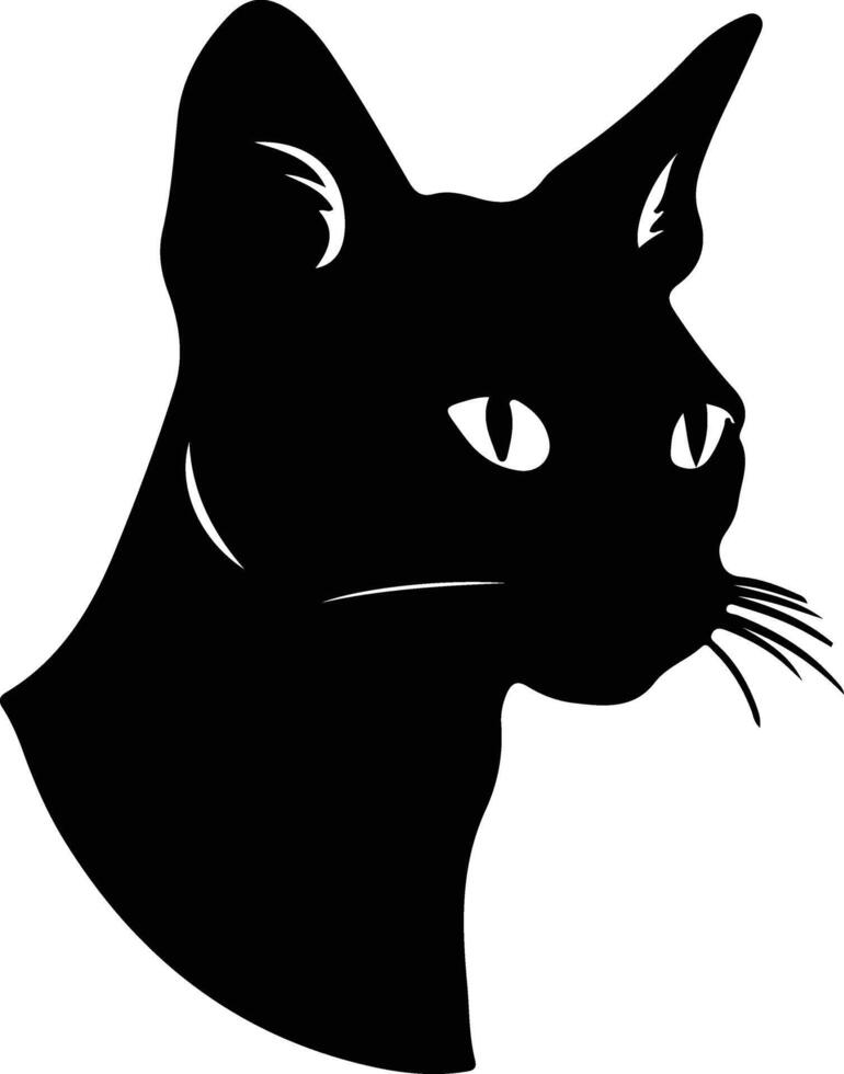abessijn kat silhouet portret vector