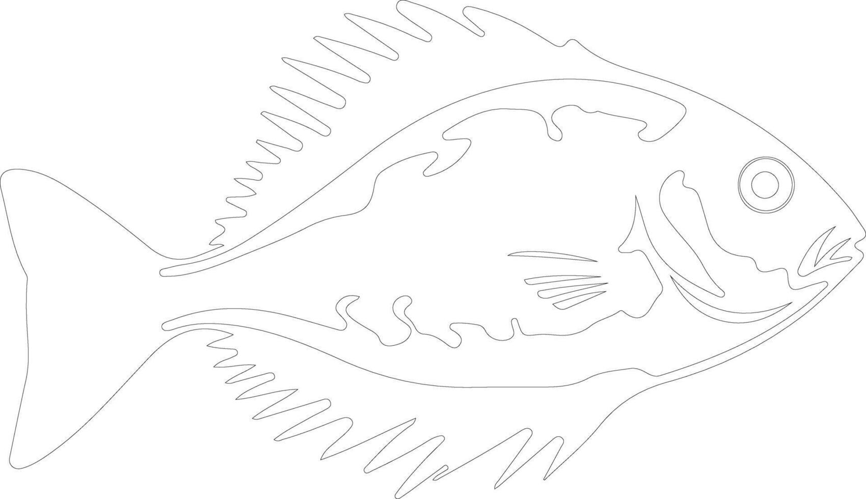 John dory schets silhouet vector