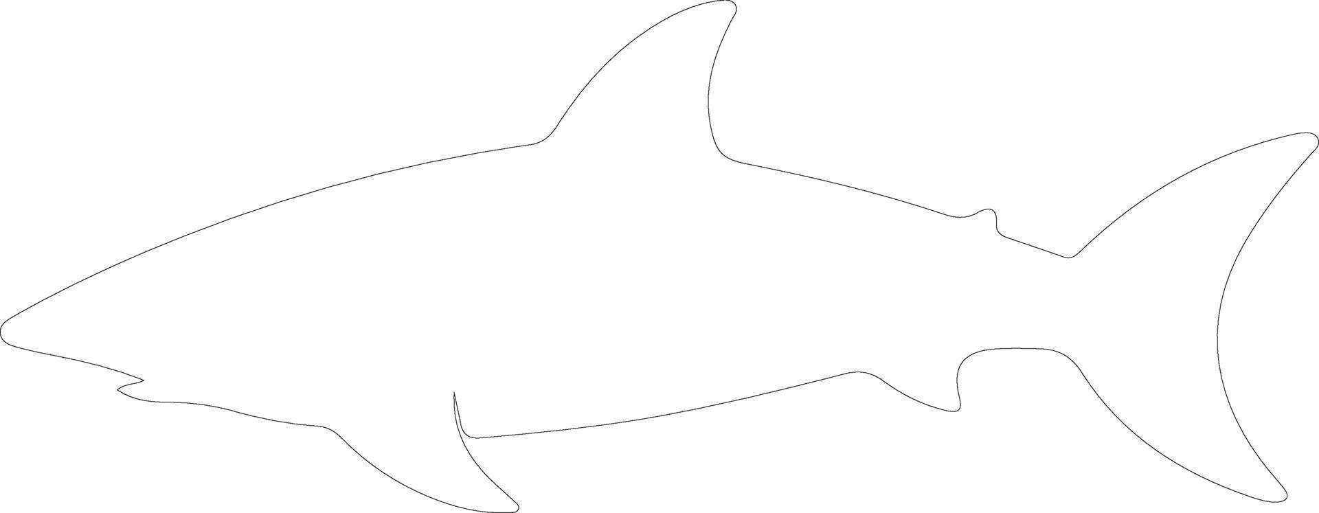 genieten haai schets silhouet vector