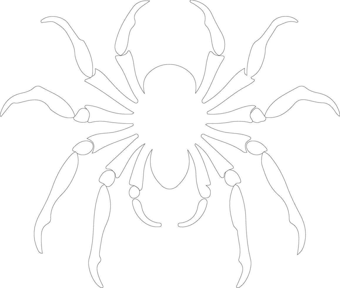 tarantula schets silhouet vector