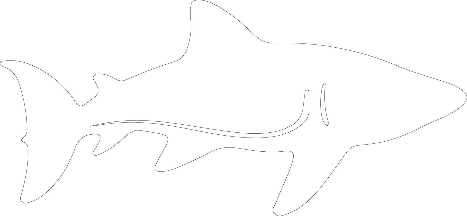 walvis haai schets silhouet vector