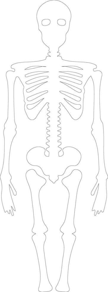 skelet schets silhouet vector