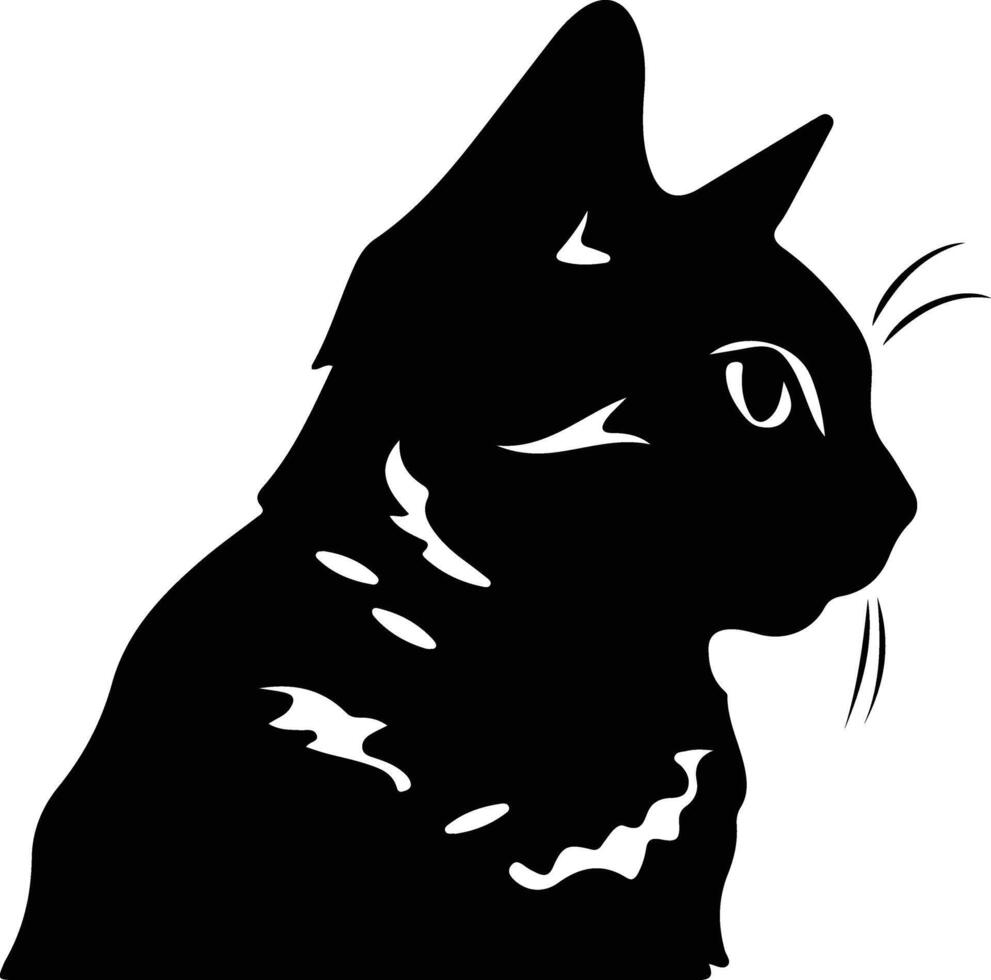 Amerikaans kort haar kat silhouet portret vector
