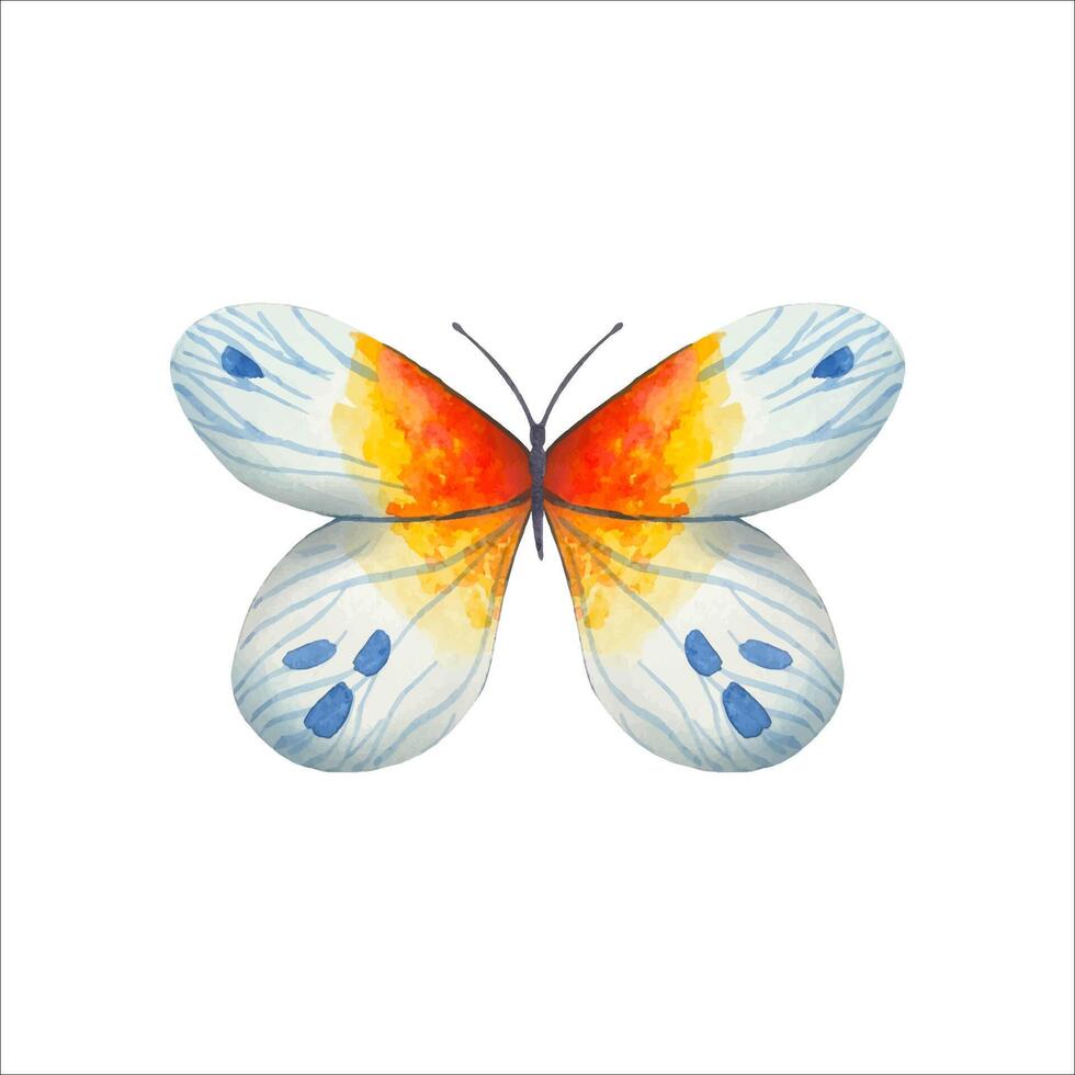 hand- getrokken abstract vlinder in blauw rood tonen vector