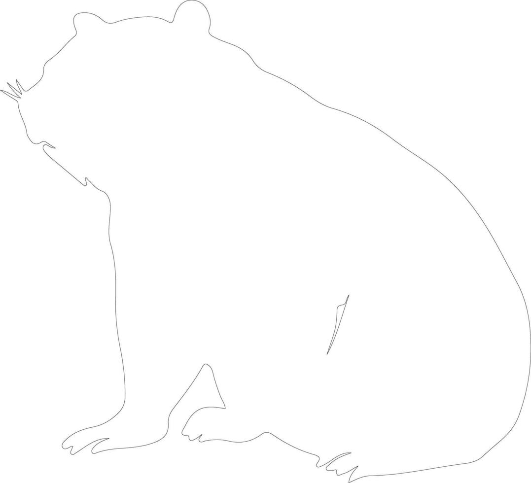 wombat schets silhouet vector