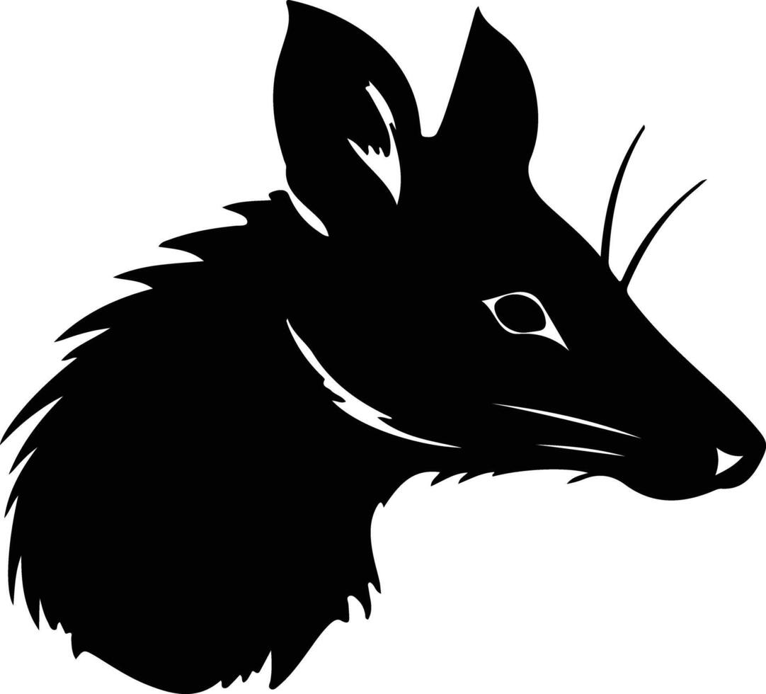 bandicoot silhouet portret vector