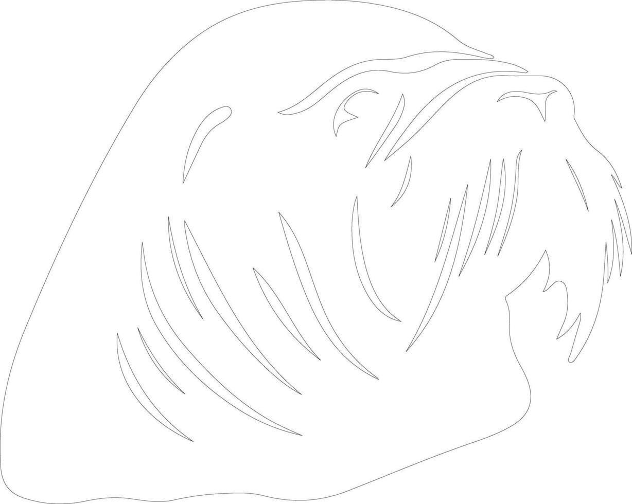 walrus schets silhouet vector