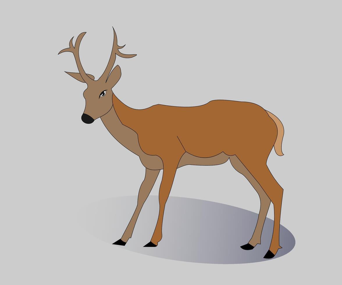 een hert met hoorns staand Aan een grijs achtergrond vector