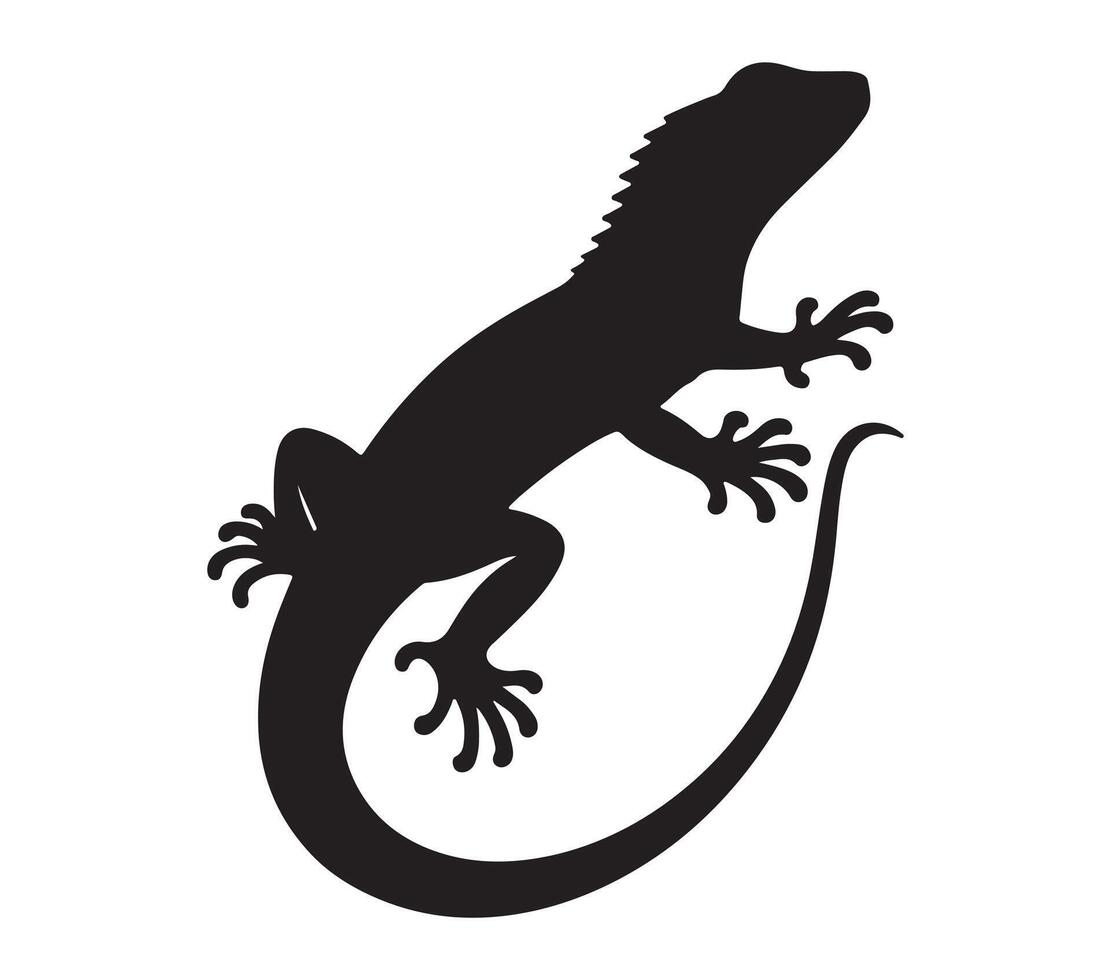 agama hagedis silhouet voorraad vector illustratie.