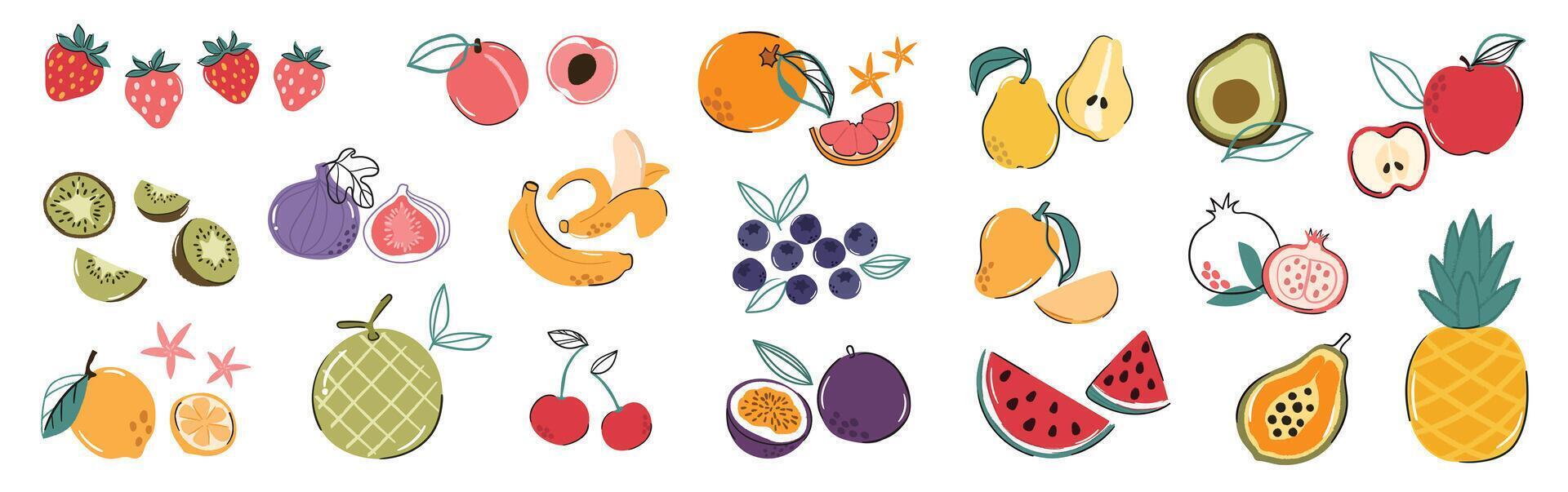 reeks van kleurrijk fruit element vector. verschillend vers fruit ontwerp van appel, aardbei, banaan, oranje, mango met hand- getrokken patroon. illustratie voor branding, sticker, kleding stof, clip art, advertenties. vector