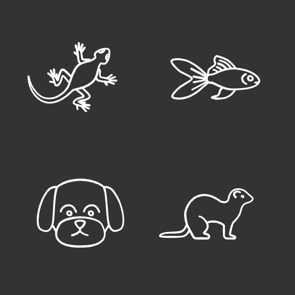 huisdieren krijt pictogrammen instellen. hagedis, goudvis, maltese hond, fret. geïsoleerde vector schoolbord illustraties