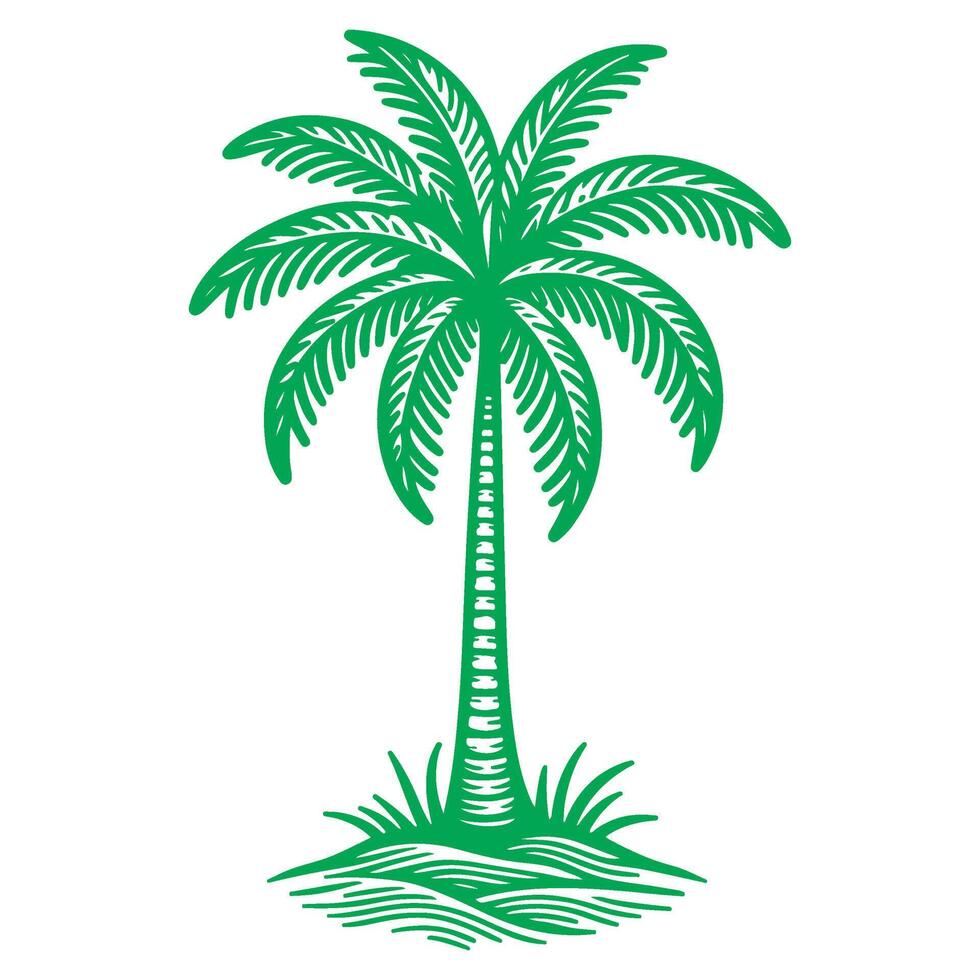 palm of kokosnoot boom tropisch groen bladeren. hand- tekening tekening schetsen stijl vector illustratie