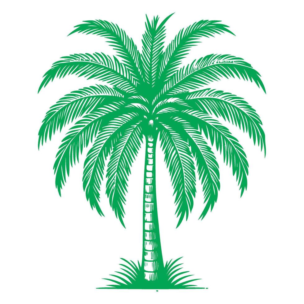 palm of kokosnoot boom tropisch groen bladeren. hand- tekening tekening schetsen stijl vector illustratie