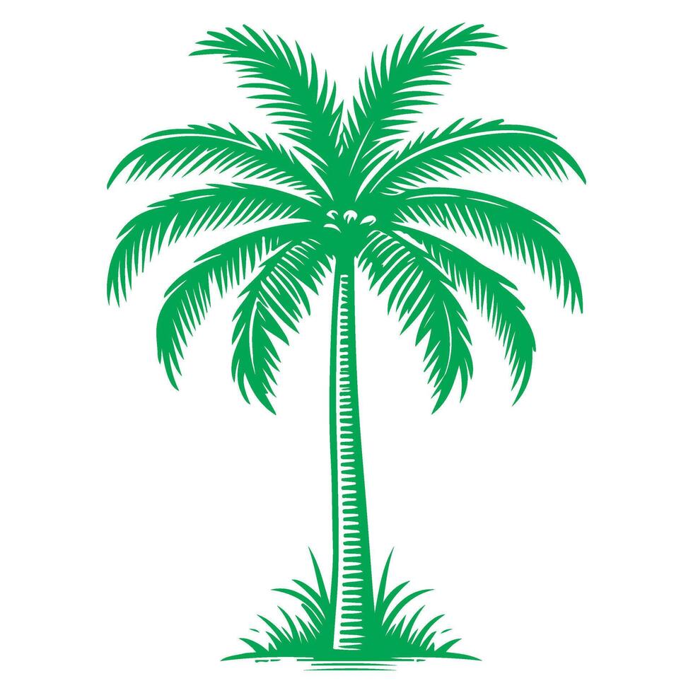 palm of kokosnoot boom tropisch groen bladeren. hand- tekening tekening schetsen stijl vector illustratie